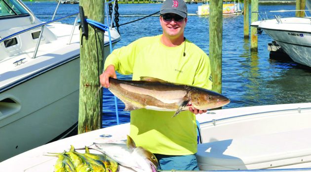 Tips for fishing the finicky cobia
