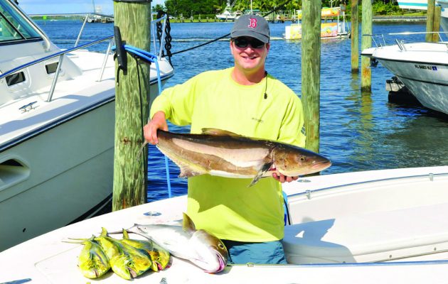 Tips for fishing the finicky cobia