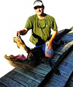 Gator hunter Billy Parry poses with the 8-foot gator it took him nearly two weeks to catch from Lake Marco. The gator had to be relocated after it showed signs of no longer fearing humans.