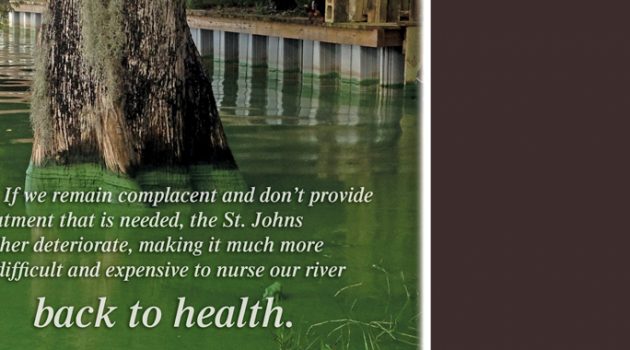 Clean bill of health within reach for St. Johns River