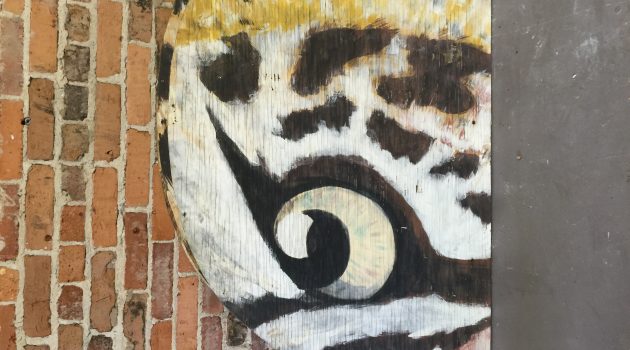 Jaguar mural finds new home