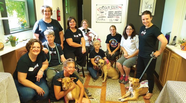 Dog café brings homeless dogs, potential families together