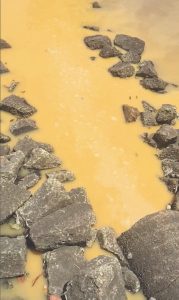 Yellow fluid and sediment spills into Millers Creek July 13 from a JEA drain pipe.