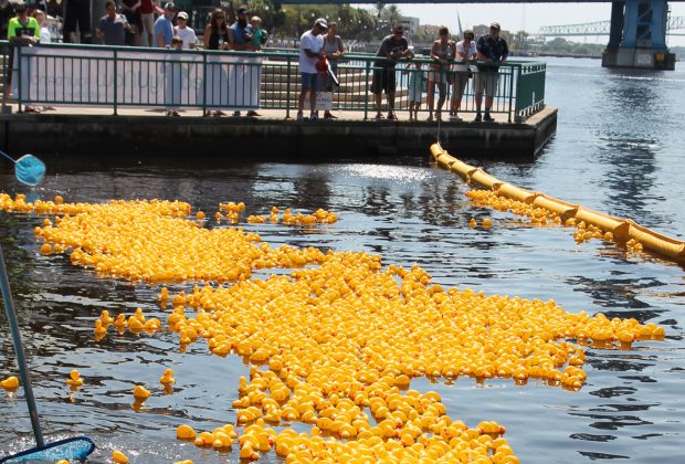 A volunteer uses a leaf blower to give the floating ducks a nudge into action.