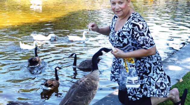 Crated ducks, geese find new home in Duck Pond