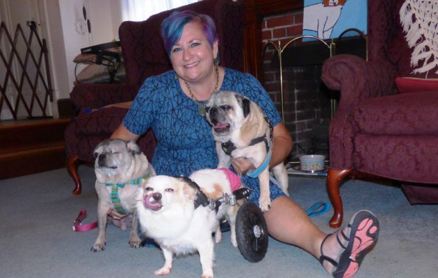 Avondale woman goes to the dogs