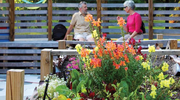 Community garden celebrates first year