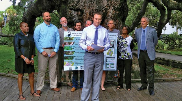 City settlement over tree mitigation resolves issue, promotes beautification