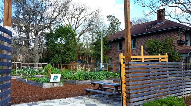 Conflict resolution in community garden an ongoing debate