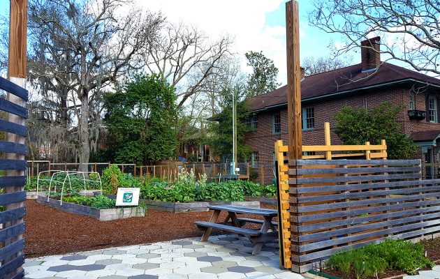 Conflict resolution in community garden an ongoing debate