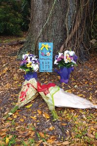 At the base of a tree is a memorial for Dillon Mullis, the motorcyclist who was killed March 4 on Herschel Street.