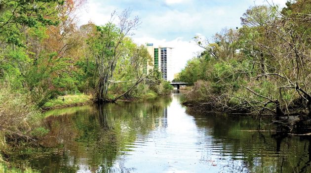 Residents concerned Fishweir Creek dredging ‘island’ will be eyesore