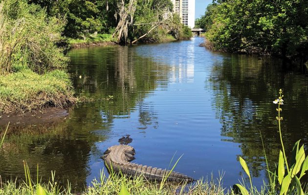 Fishweir Creek restoration project moves into next phase with partnership agreement