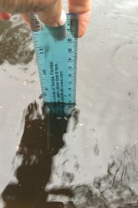 Ruler indicates 8 inches of water on Riviera Street after one hour of rain on May 31. (Photo by Craig Marlowe)