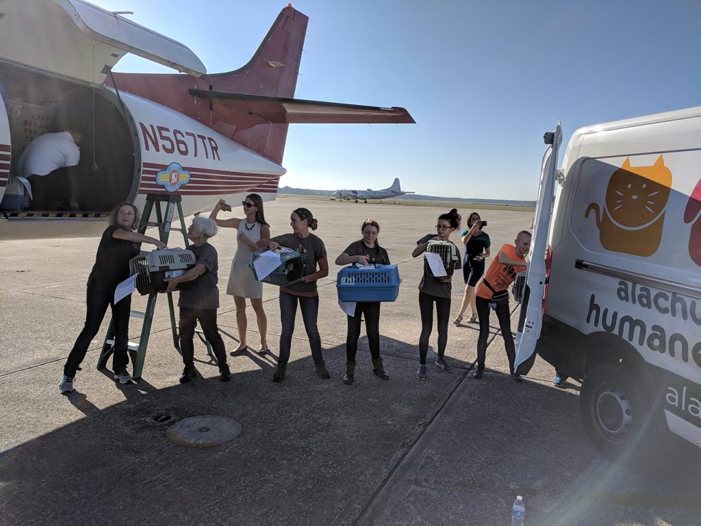Jacksonville Humane Society volunteers load animals on a plane to make space in the shelter for animals coming from the Florida Panhandle.