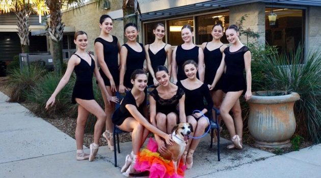 Florida Ballet dancers raise awareness for shelter pets