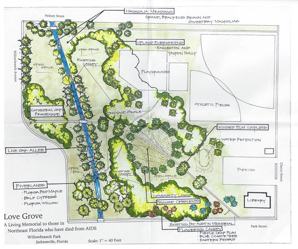 Rendering indicates type and placement of 100 trees in Willowbranch Park to create Love Grove, a memorial to Northeast Floridians who died from AIDS.