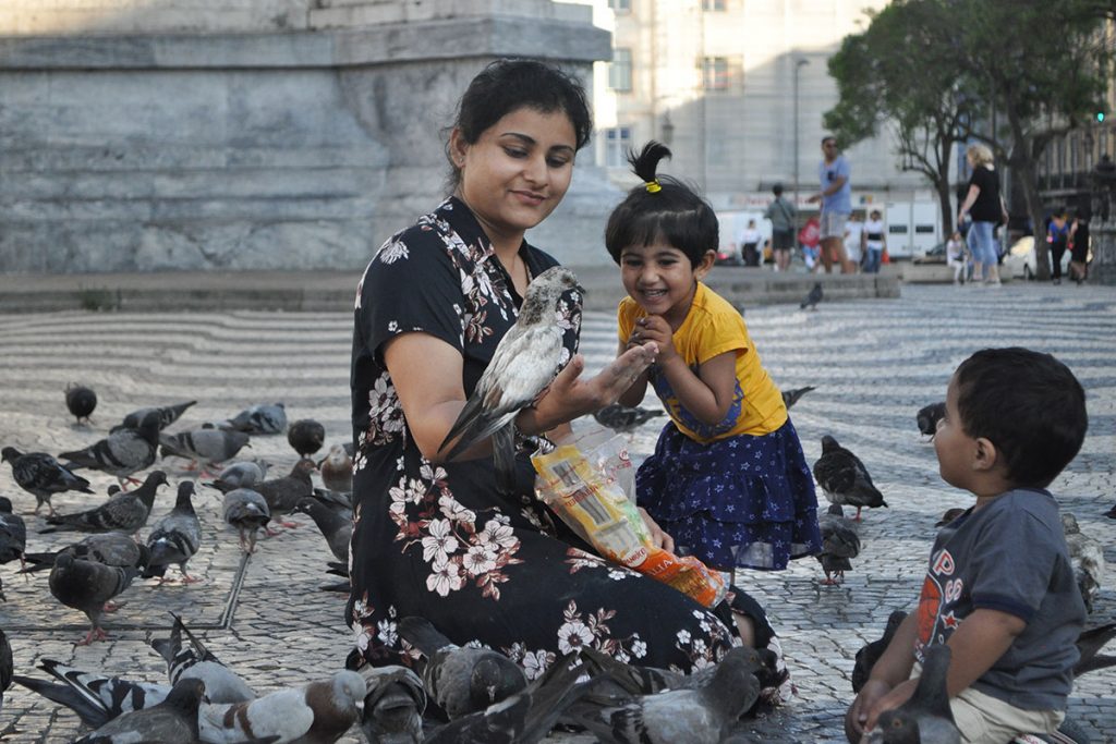 On Julia Nichols’ first night in Lisbon, she stopped to photograph this mother and her children feeding a multitude of pigeons in a community plaza.