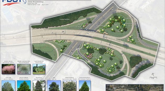 FDOT to plant native greenery along Hart Expressway
