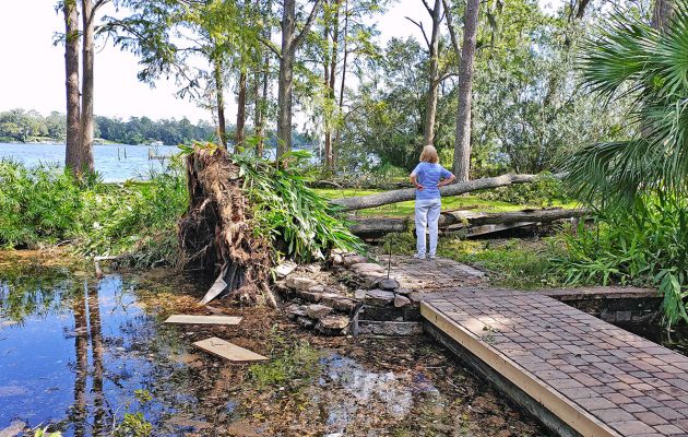 With new City resiliency committee, Carlucci aims to mitigate flooding