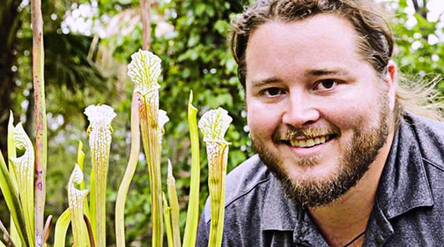 Horticulturist saves rare orchid from extinction