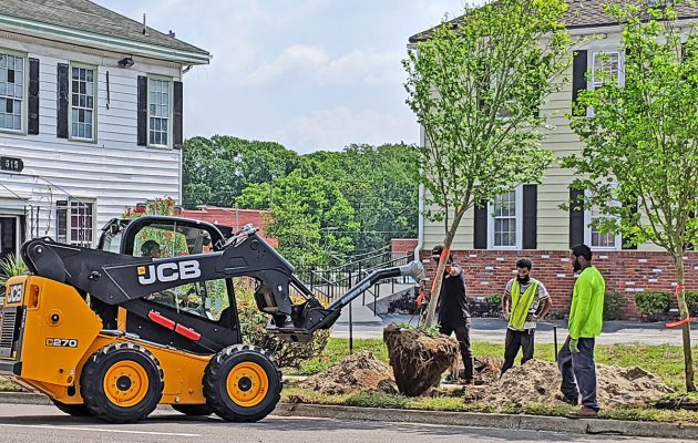 Tree planting brings renewal to Cathedral District