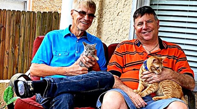 Riverside fosters restore health to two ‘miracle’ kittens
