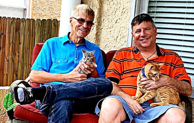 Riverside fosters restore health to two ‘miracle’ kittens