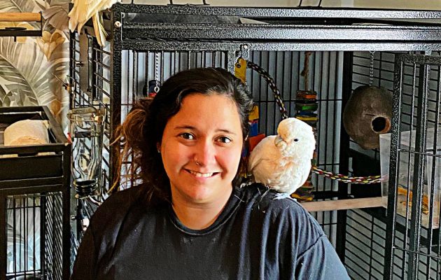 Pet birds, parrots require special knowledge and care