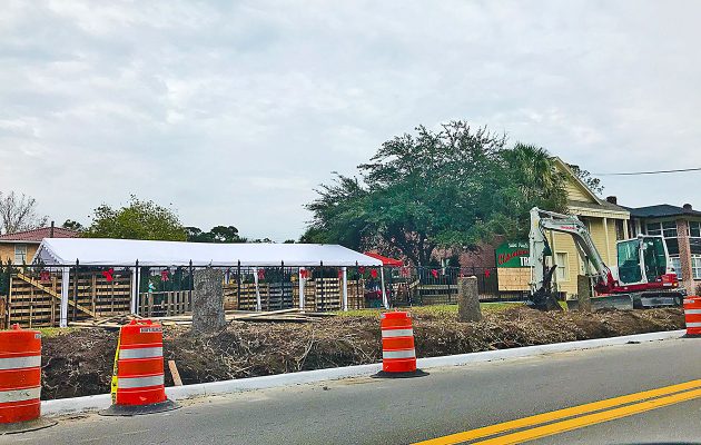 ‘Tony’ trees removed to make way for Orange Line bus stop