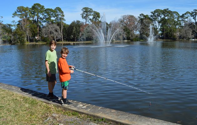 San Marco’s duckless Duck Pond of concern to residents
