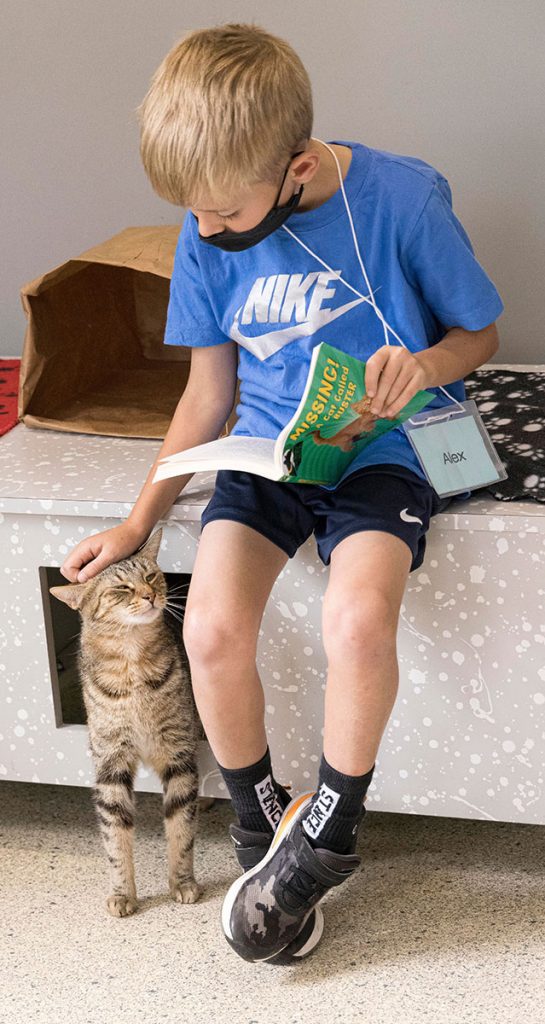 boy reading to cat