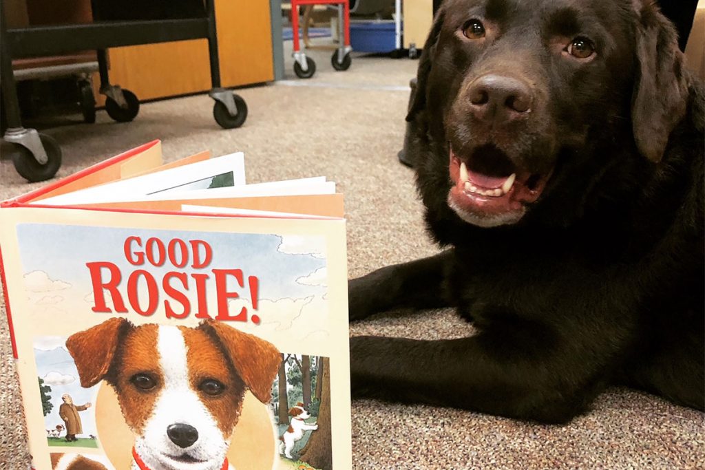 Dog with book "Good Rosie!"
