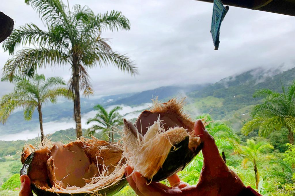 The Clearys’ coconut toast in Kauai, Hawaii