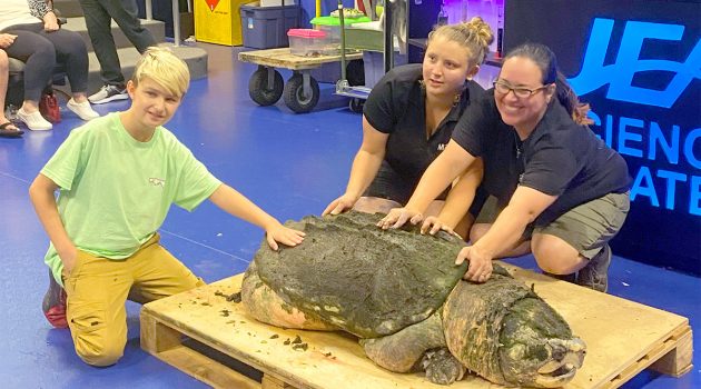 MOSH hosts birthday party for Tonca the turtle