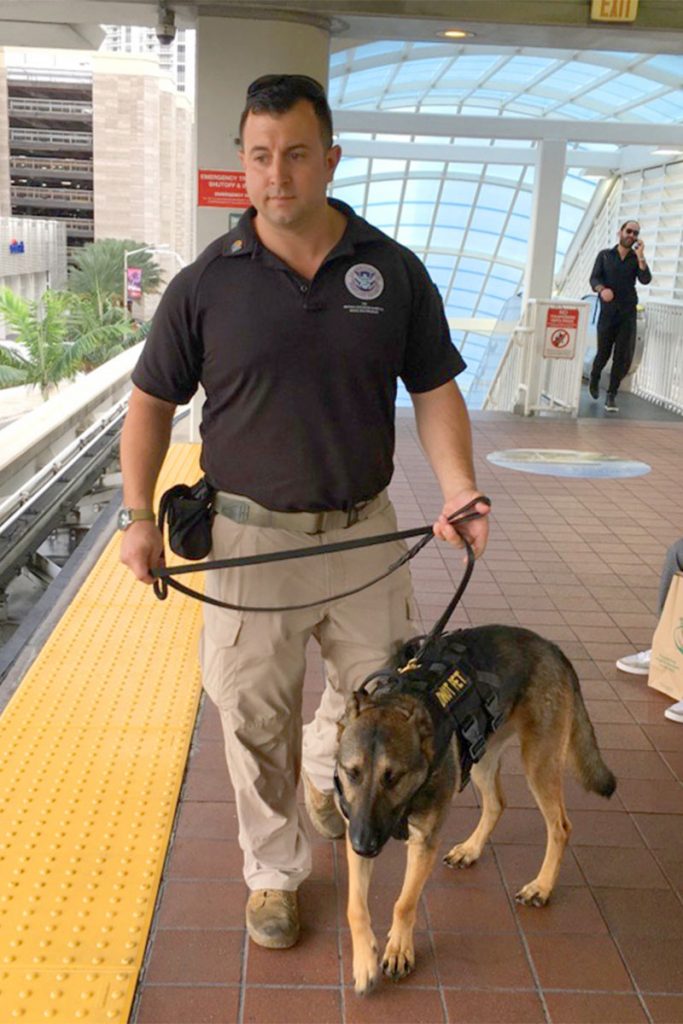 TSA explosives detection canine & officer patrol terminal