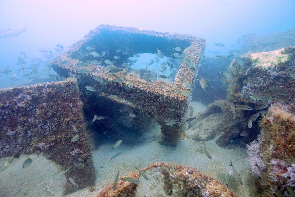 Artificial reef off the coast of Northeast Florida as photographed by Joe Kistel.