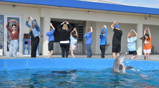 Flipper Friends: Assumption Catholic dives into dolphin experience