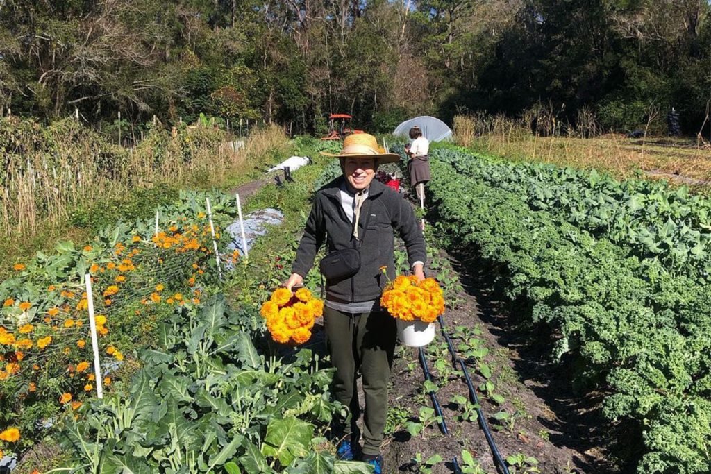 Down to Earth volunteer, Kim, tending to the garden | Picture Credit - Down to Earth Farm