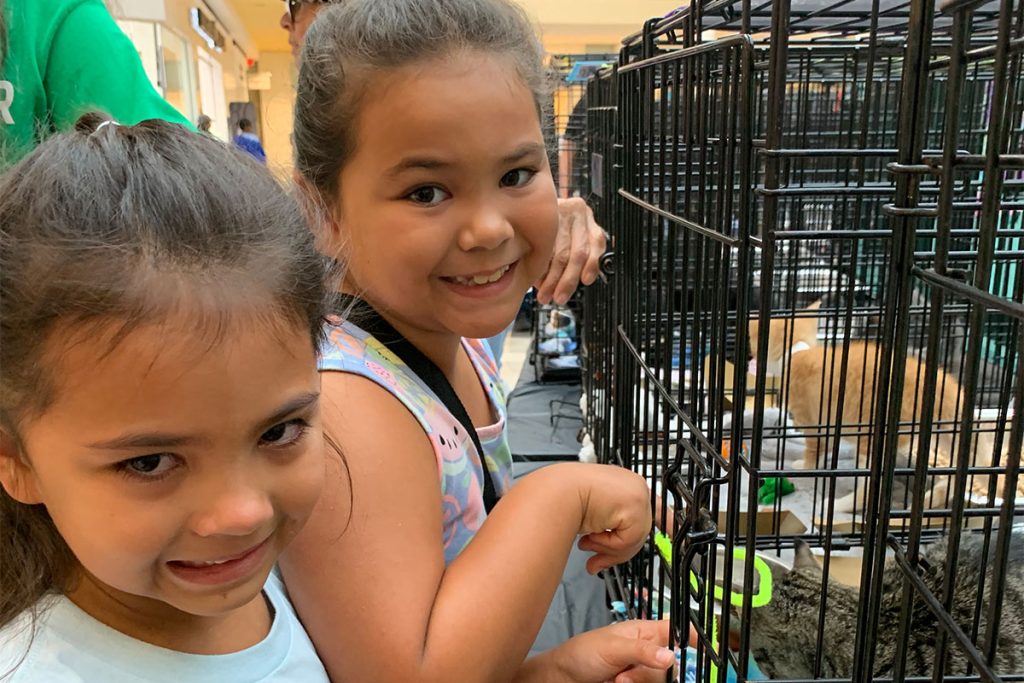Dekaia, 8, and Locklinn Figuerrez, 6, wanted to adopt all the kittens, according to mom, Megan.