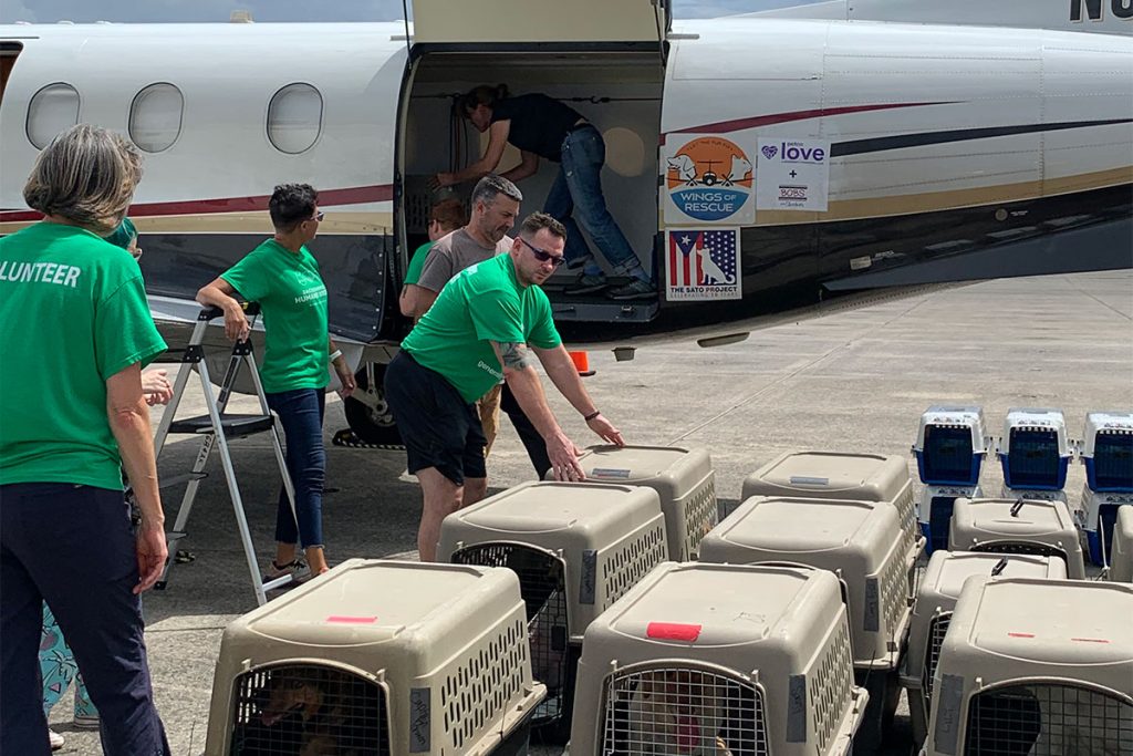 Volunteers loading pet crates onto the rescue flight.