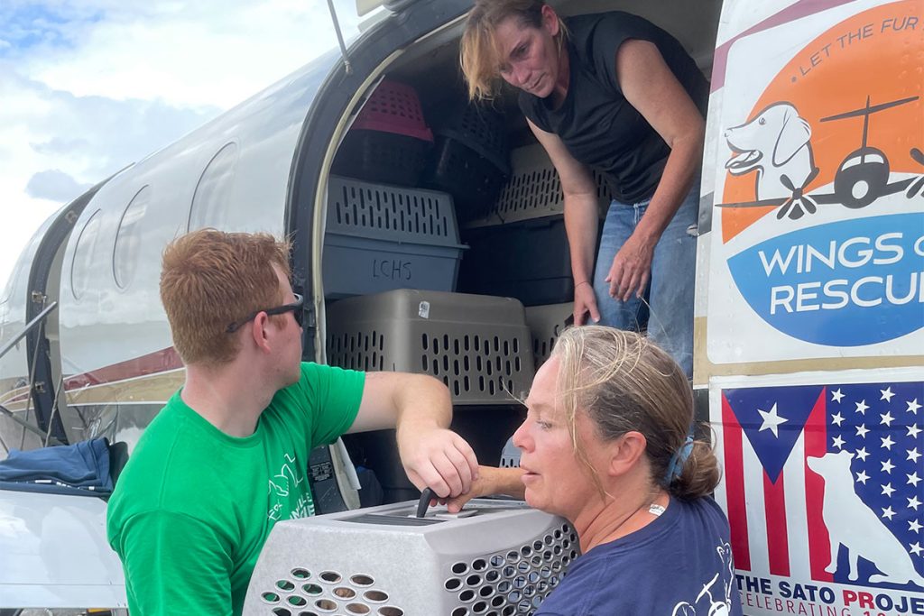 Jacksonville Humane Society and Wings of Rescue volunteers load pets onto plane.