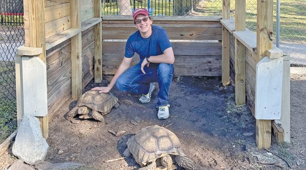 Eagle Scout Project Houses Tortoises