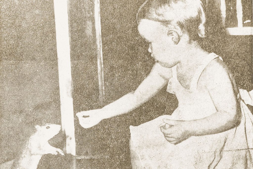 18-month-old Margaret Day feeding a squirrel on the porch of her McGirts Boulevard home.