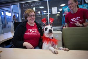 ACPS pets, staff and volunteers enjoy a Valentine's Day celebration complete with lunch, gifts and a $400,000 grant from Petco Foundation.