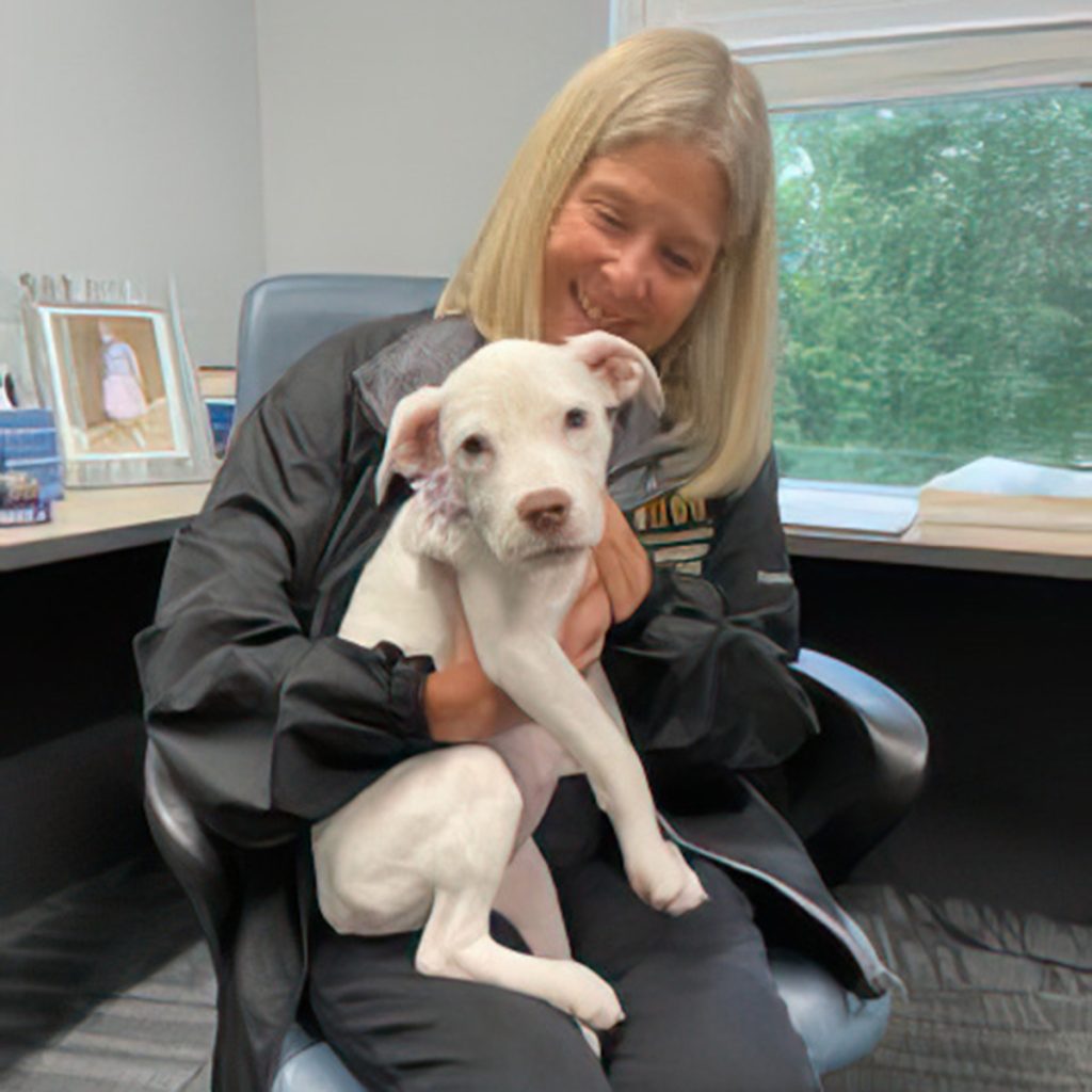 Deisler working with an adoptable pup