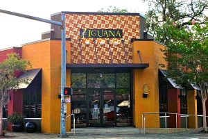 Iguana on Park closes its doors on May 12 after four years of service.