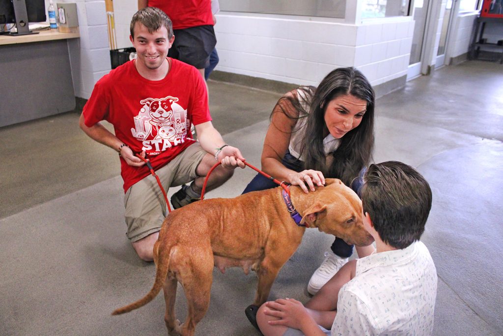 PAWS graduate/ACPS employee Aidan Balzli introducing an adoptable dog to Isaiah and Michelle Tesori.