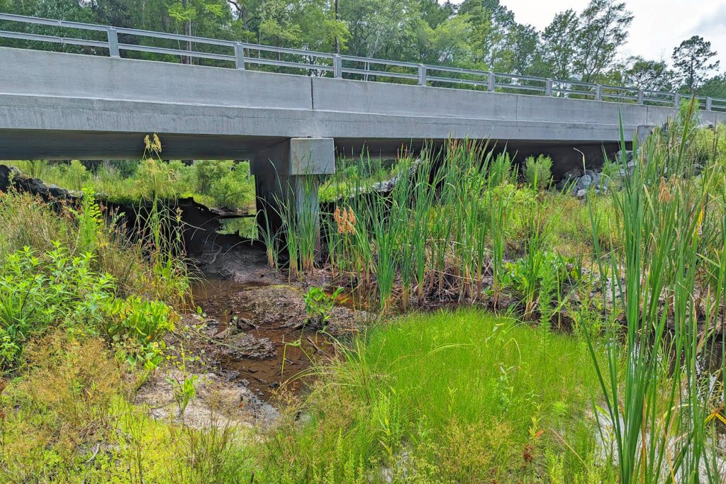 The Gold Star Family Parkway Wildlife Crossing