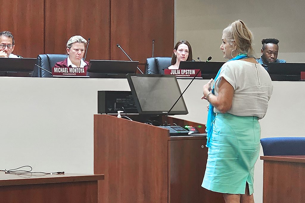Trips in the Village’s Carolyn Hawthorn speaks against the demolition applications at the May 28 Jacksonville Historic Preservation Commission meeting.